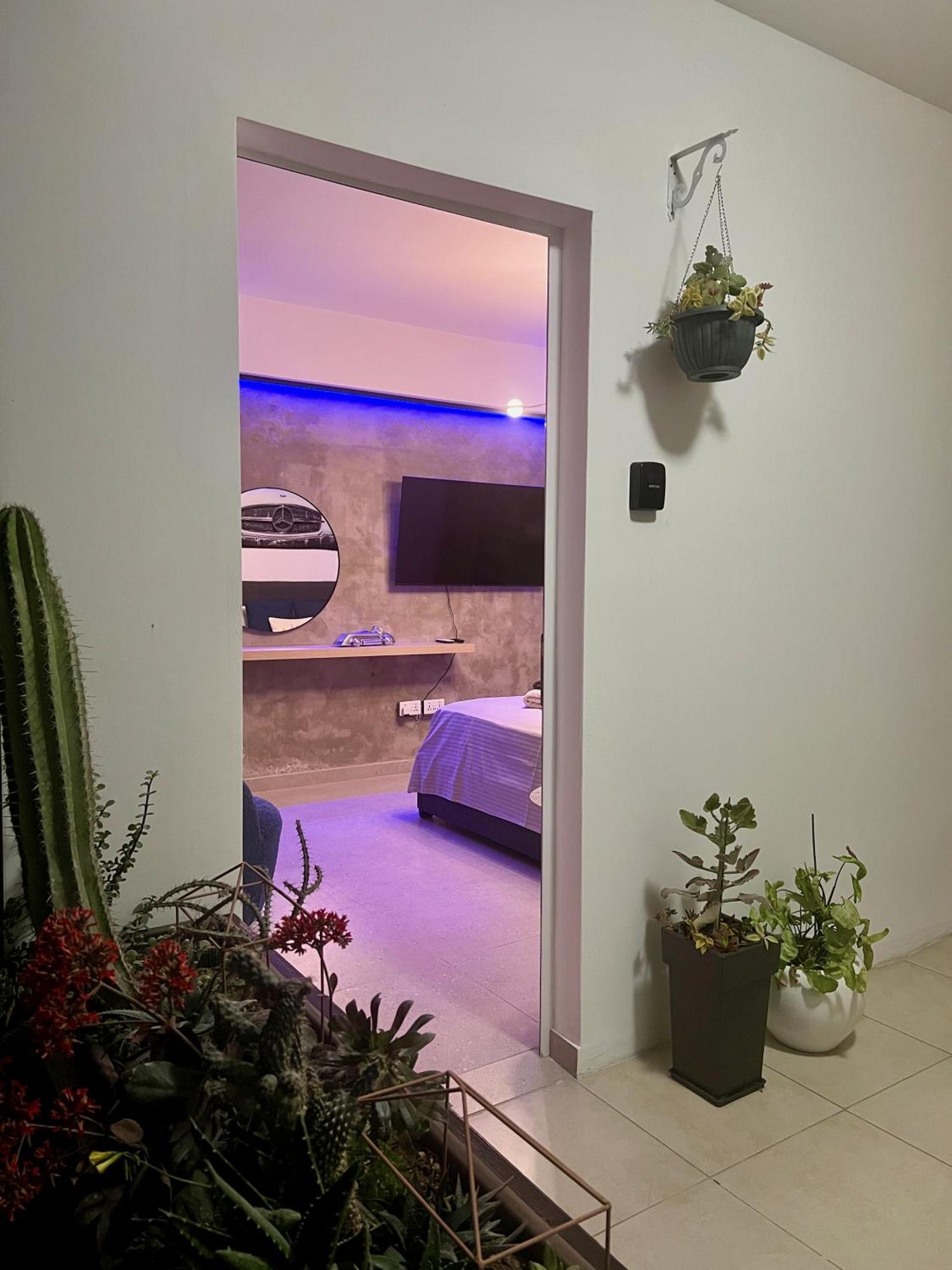 Fat Cow Apartments Larnaca Buitenkant foto